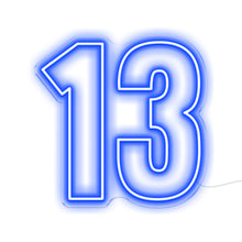 Load image into Gallery viewer, 13
