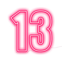 Load image into Gallery viewer, 13
